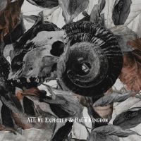  All We Expected/Raum Kingdom Split 